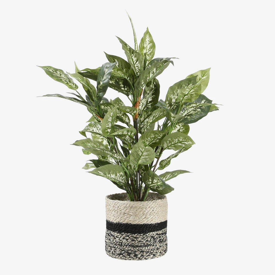 Mica Decorations Erika Mand Voor Planten Ø20 Cm - Afbeelding 4