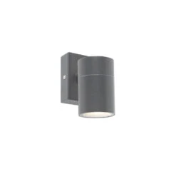 QAZQA Buitenwandlamp Antraciet IP44 - Solo
