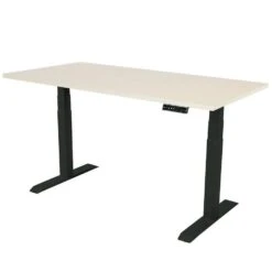 Elektrisch Verstelbaar Bureau - 160x80 Cm - Dual Motor - Zwart / Licht Eiken
